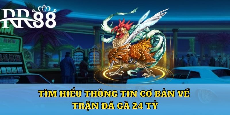 Tìm hiểu thông tin cơ bản về trận đá gà 24 tỷ